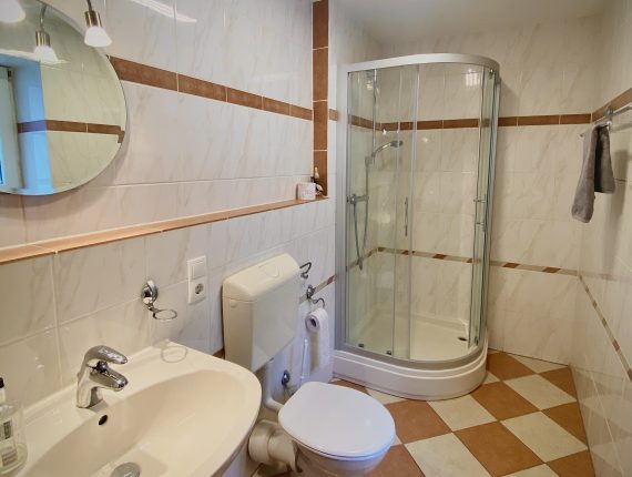 Das Badezimmer verfügt über eine Dusche, ein WC, sowie ein Waschbecken.